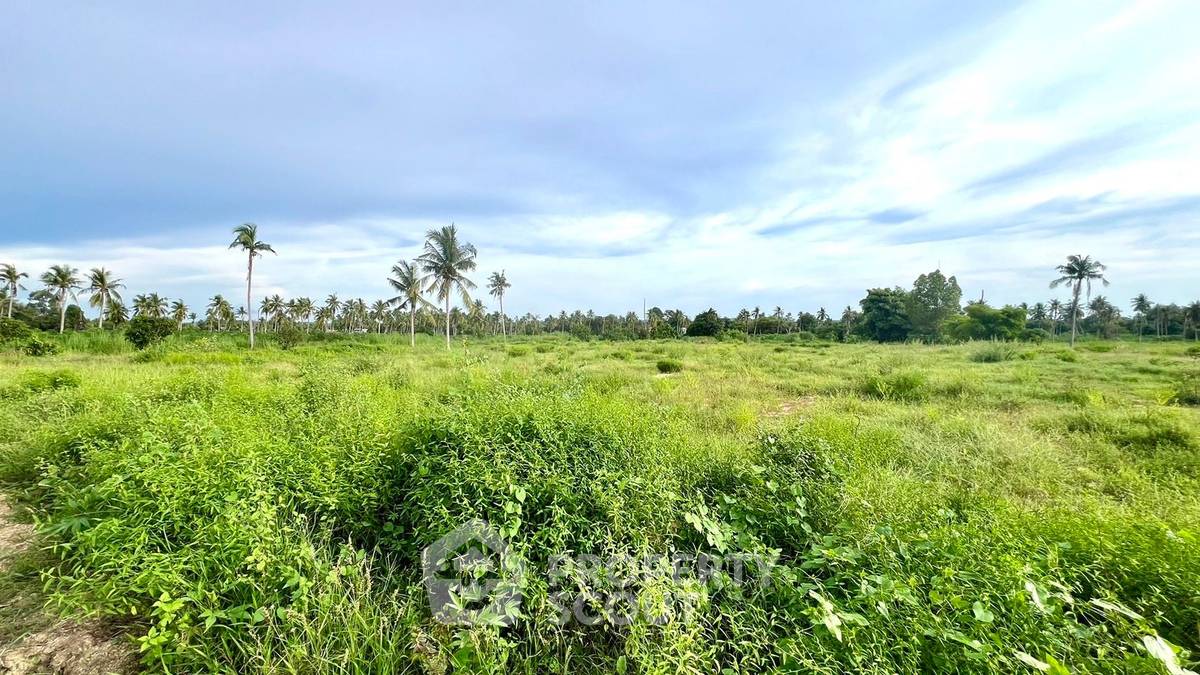 รูป ที่ดินสำหรับปล่อยขาย 8,812 ตารางเมตร แถว ใกล้ ห้วยใหญ่ (ID 1863176) - รูปที่ 2/13