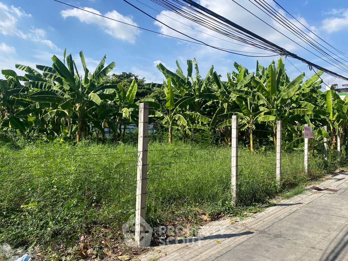 picture 1,080 m² Land with 2-bed House for Rent at Lat Phrao (ID 1962931) - 1/5