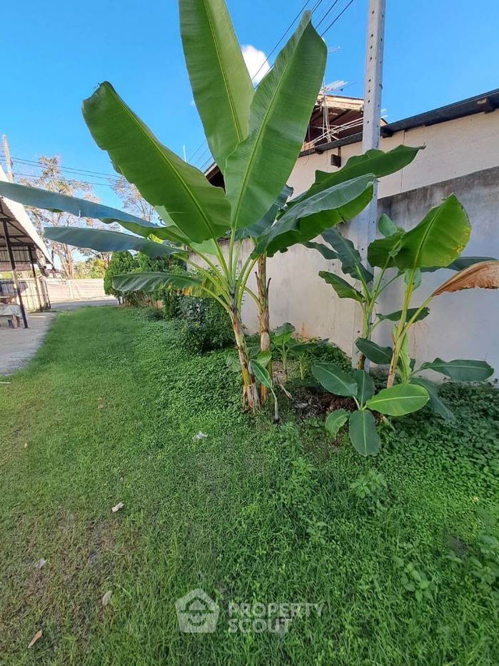 รูป ที่ดินสำหรับปล่อยขาย 400 ตารางเมตร แถว ใกล้ เมืองเก่า (ID 1417326) - รูปที่ 3/5