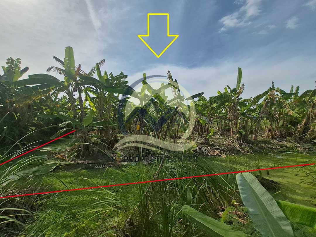 รูป ขาย ที่ดินเปล่า 1-1-33 ไร่ ( 533 ตร.ว. ) ซ.บึงบอน 11 ถ.รังสิต-นครนายก จ.ปทุมธานี - รูปที่ 12/17