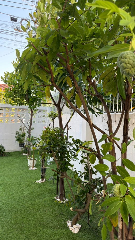 รูป ขายบ้านแฝดอารมณ์บ้านเดี่ยว สไตล์มินิมอล สวย สะอาด ปรับปรุงใหม่ พร้อมอยู่   ทำเลสะดวก ใกล้ Central ปิ่นเกล้า - รูปที่ 28/32