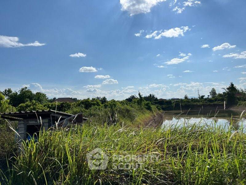 รูป ที่ดินสำหรับปล่อยขาย 21,308 ตารางเมตร แถว ใน หารแก้ว (ID 1372746) - รูปที่ 6/14