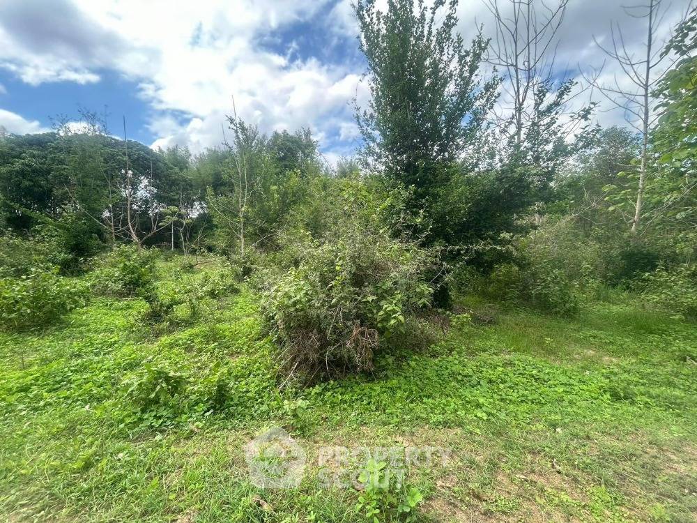 รูป ที่ดินสำหรับปล่อยขาย 4,460 ตารางเมตร แถว ใน หนองหาน (ID 1723893) - รูปที่ 1/3