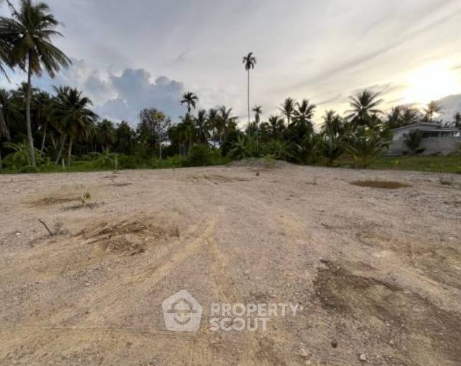 รูป ที่ดินสำหรับปล่อยขาย 700 ตารางเมตร แถว (ID 1943465) - รูปที่ 4/11