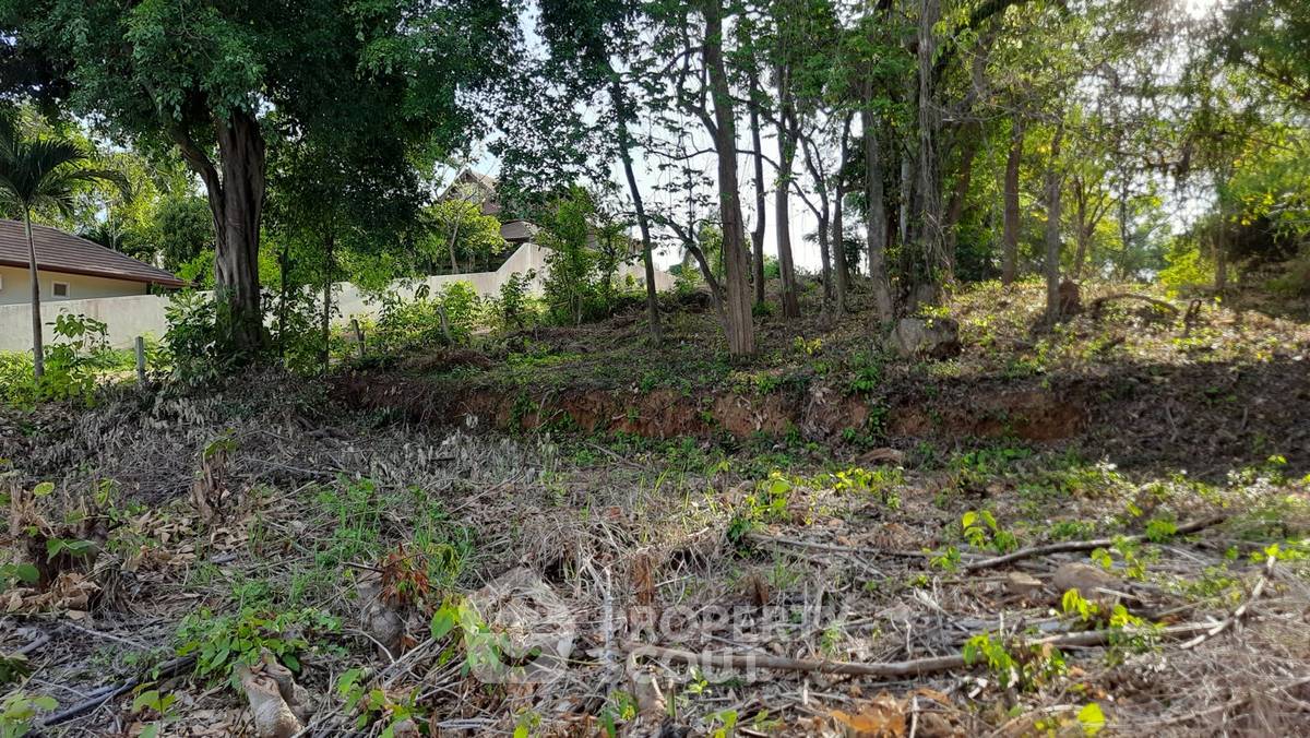 รูป ที่ดินสำหรับปล่อยขาย 2,811.6 ตารางเมตร แถว ใกล้ หาดในหาน (ID 2107889) - รูปที่ 2/6