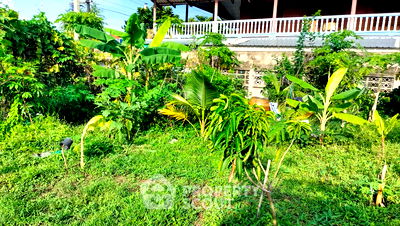 ที่ดิน ปากเกร็ด นนทบุรี : ที่ดินสำหรับปล่อยขาย 1,800 ตารางเมตร แถว ใน ท่าอิฐ (ID 2104949)