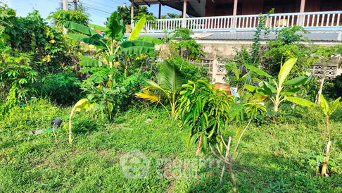 1,800 m² Land for Sale in Tha It (ID 2104949)