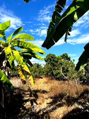 ที่ดิน หางดง เชียงใหม่ : ที่ดินสำหรับปล่อยขาย 21,308 ตารางเมตร แถว ใน หารแก้ว (ID 1372746)