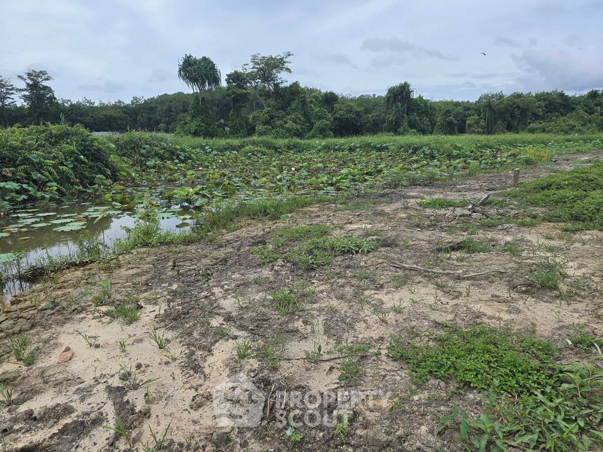 รูป ที่ดินสำหรับปล่อยขาย 2,800 ตารางเมตร แถว ใกล้ สนามบินนานาชาติภูเก็ต (ID 2184776) - รูปที่ 3/3