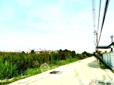 เช่าที่ดิน สนามบินสุวรรณภูมิ : ที่ดินสำหรับปล่อยเช่าและปล่อยขาย 1,600 ตารางเมตร แถว ใกล้ ท่าอากาศยานสุวรรณภูมิ (ID 2083601)