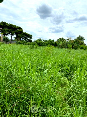 ที่ดิน บิ๊กซี บางใหญ่ : ที่ดินสำหรับปล่อยขาย 9,184 ตารางเมตร แถว ใน โสนลอย (ID 1500162)