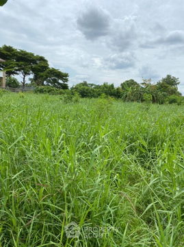 9,184 m² Land for Sale in Sano Loi (ID 1500162)