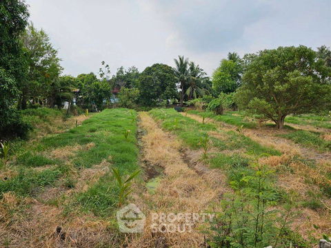 6,668 m² Land for Sale in Bang Khanun (ID 1530175)