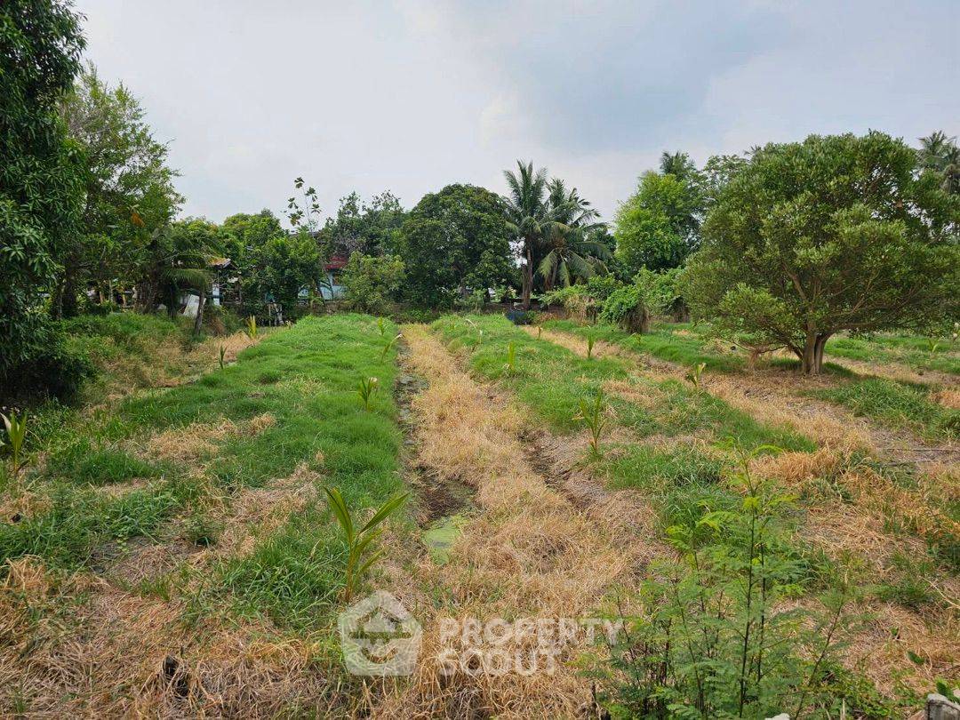 picture 6,668 m² Land for Sale in Bang Khanun (ID 1530175) - 1/9