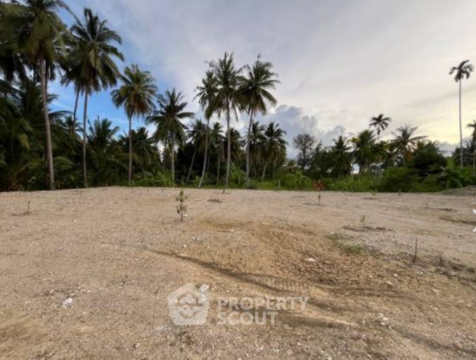 รูป ที่ดินสำหรับปล่อยขาย 700 ตารางเมตร แถว (ID 1943465) - รูปที่ 3/11