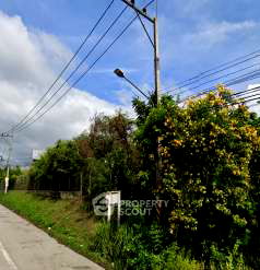 ที่ดิน นิคมอมตะซิตี้ : ที่ดินสำหรับปล่อยขาย 3,744 ตารางเมตร แถว ใน บ่อวิน (ID 2061962)