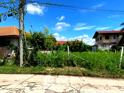 Land for sale Macro Chiang Mai : 452 m² Land for Sale in San Sai Noi (ID 1326160)