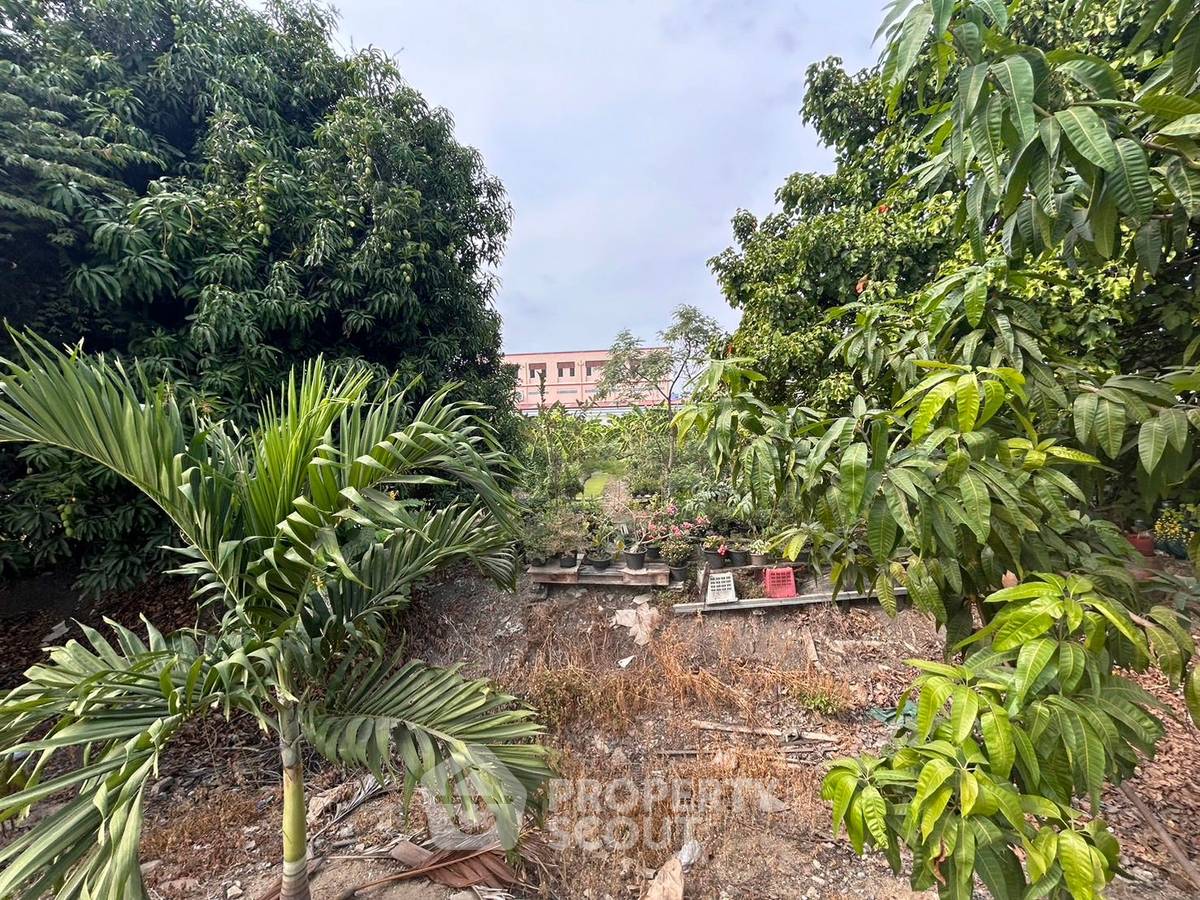 รูป ที่ดินสำหรับปล่อยเช่า 4,268 ตารางเมตร แถว ใน บางไผ่ (ID 1483709) - รูปที่ 4/7