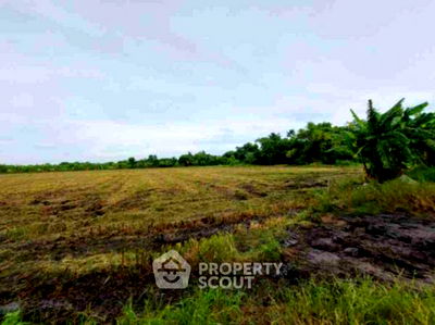 ที่ดิน เขตคลองสามวา : ที่ดินสำหรับปล่อยขาย 12,800 ตารางเมตร แถว ใน สามวาตะวันออก (ID 1990340)