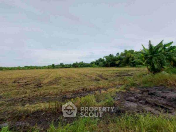 รูป ที่ดินสำหรับปล่อยขาย 12,800 ตารางเมตร แถว ใน สามวาตะวันออก (ID 1990340) - รูปที่ 1/5