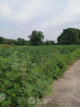 ที่ดินสำหรับปล่อยขาย 480 ตารางเมตร แถว ใน หนองขาม (ID 2089362)