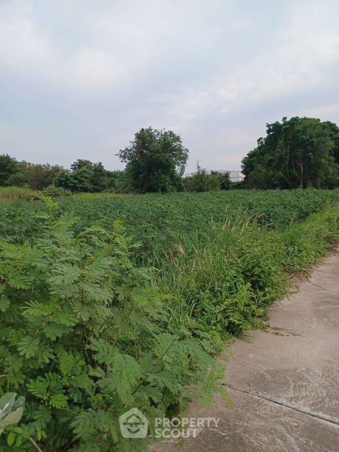 รูป ที่ดินสำหรับปล่อยขาย 480 ตารางเมตร แถว ใน หนองขาม (ID 2089362) - รูปที่ 1/11