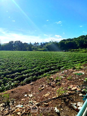 ที่ดิน บ้านข้างวัด : ที่ดินสำหรับปล่อยขาย 96,000 ตารางเมตร แถว ใกล้ สนามบินเชียงใหม่ (ID 1588566)