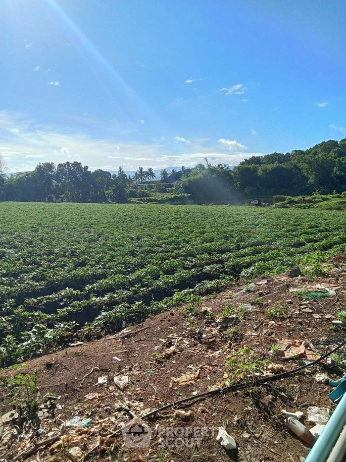 รูป ที่ดินสำหรับปล่อยขาย 96,000 ตารางเมตร แถว ใกล้ สนามบินเชียงใหม่ (ID 1588566) - รูปที่ 1/5