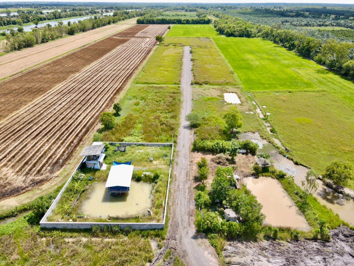 picture Ban Na Ban Phrik Subdistrict Ban Na Nakhon District 2-200 sq m450,000 baht7 km from the 4-lane road Wihan Daeng water and electricity included,  - 4/19