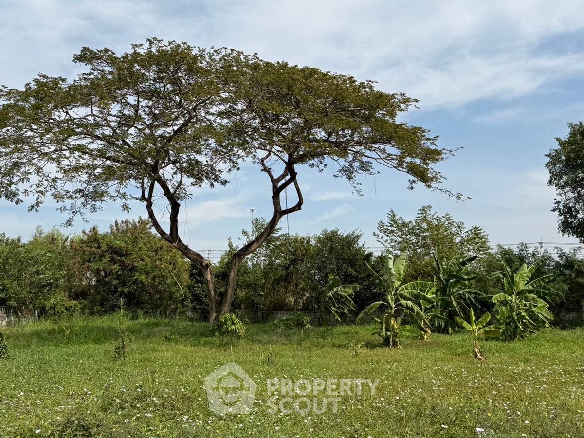 รูป ที่ดินสำหรับปล่อยขาย 2,188 ตารางเมตร แถว ใกล้ เมืองพัทยา (ID 2149497) - รูปที่ 5/7