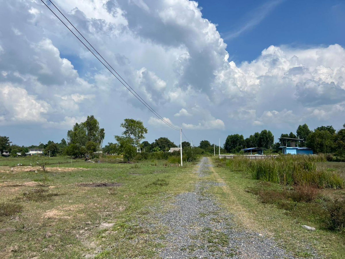 picture Ban Na Ban Phrik Subdistrict Ban Na Nakhon District 2-200 sq m450,000 baht7 km from the 4-lane road Wihan Daeng water and electricity included,  - 11/19