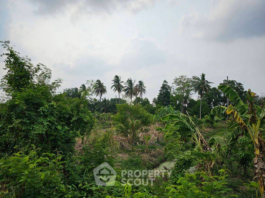 picture 6,668 m² Land for Sale in Bang Khanun (ID 1530175) - 6/9