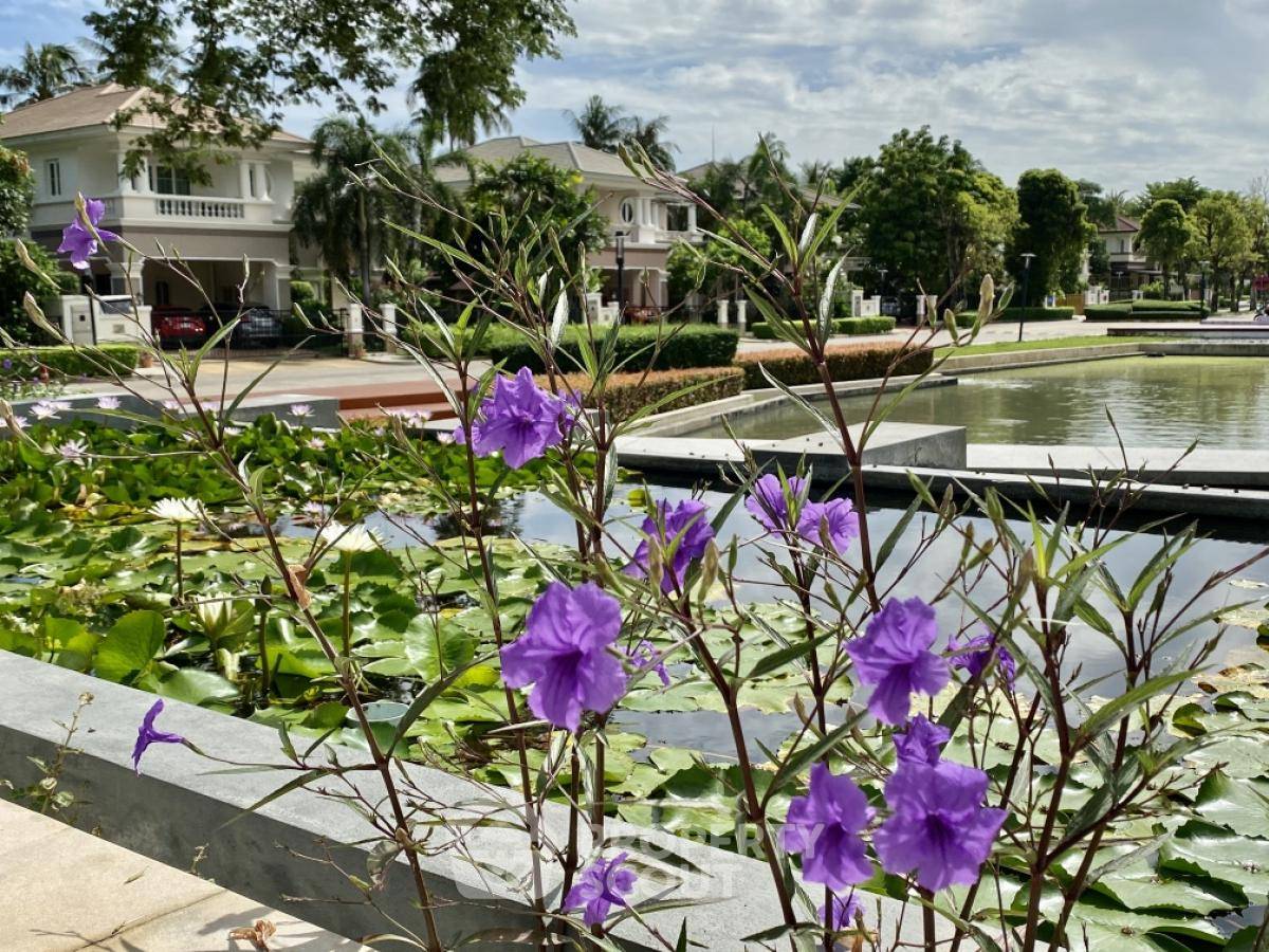 รูป บ้าน 4-ห้องนอน ใน ภาษีเจริญ (ID 1969532) - รูปที่ 28/29