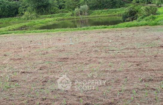 รูป ที่ดินสำหรับปล่อยขาย 240.8 ตารางเมตร แถว ใน แม่สูน (ID 1946944) - รูปที่ 2/5