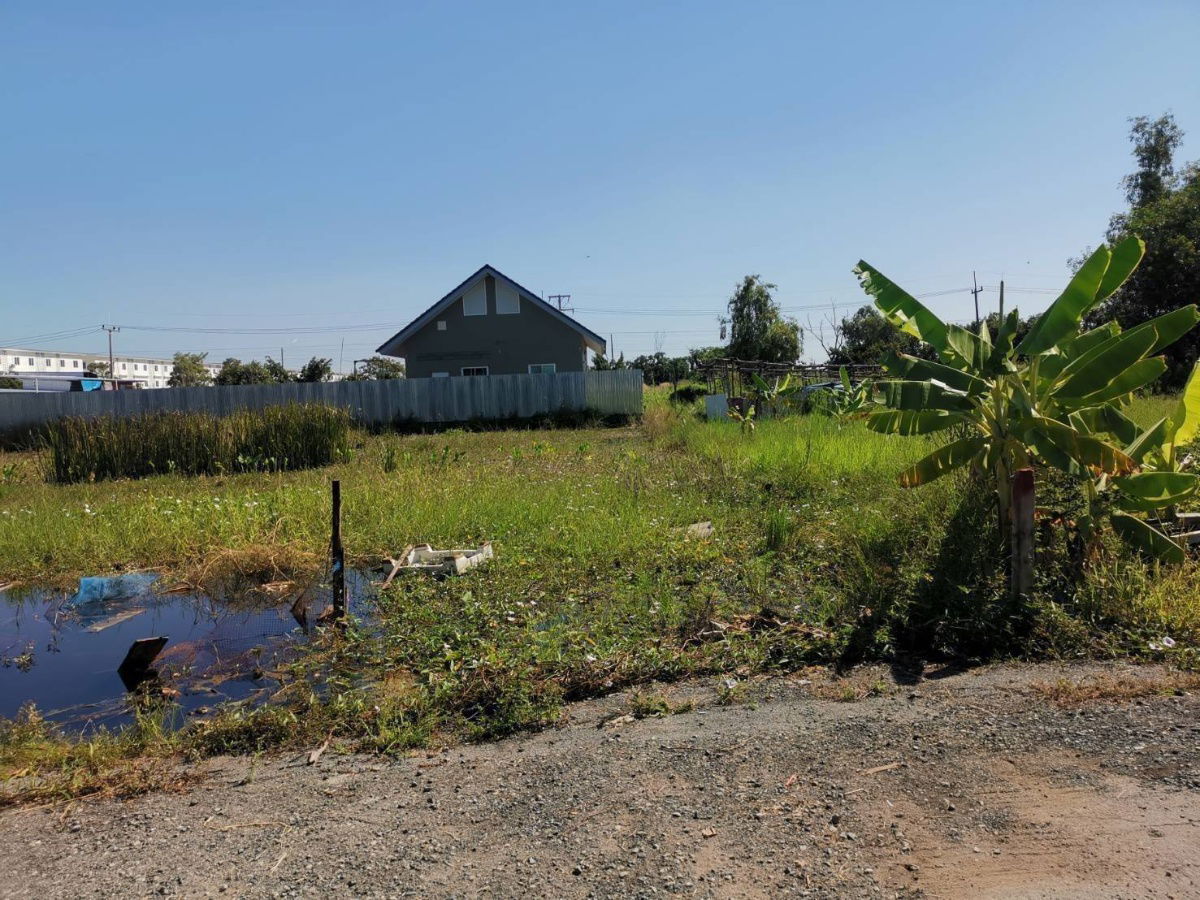 รูป ที่ดินคลอว6คลองหลวงปทุมธานีซ.คึกคฤทธิ์ใกล้แยกหนองเสือ1ไร่3800000ย่านรังสิตธัญบุรีสะดวกติดถนนลำลูกกาวังน้อยใกล้ดูโฮมค6บิ๊กซีค6ทำกิจการเก็งกำไร - รูปที่ 8/18