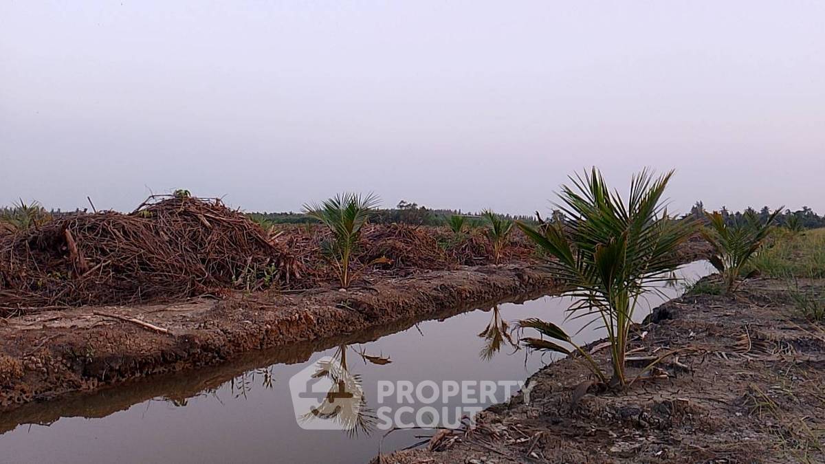 รูป ที่ดินสำหรับปล่อยขาย 96,000 ตารางเมตร แถว ใน หนองปลาไหล (ID 1922416) - รูปที่ 2/5