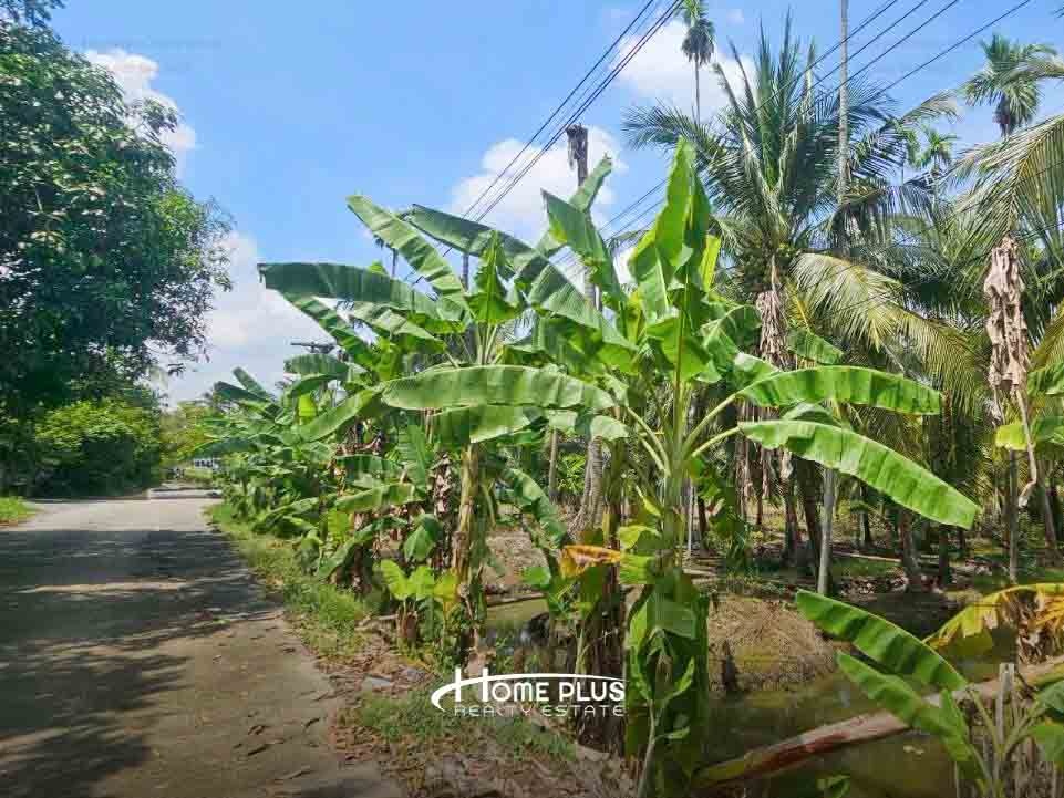 รูป ที่ดินตำบลท่าตลาด อำเภอสามพราน นครปฐม เนื้อที่ 846 ตารางวา - รูปที่ 7/11