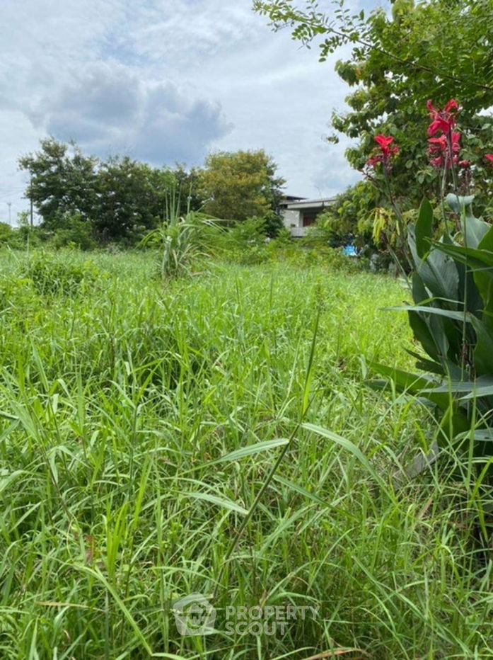 รูป ที่ดินสำหรับปล่อยขาย 9,184 ตารางเมตร แถว ใน โสนลอย (ID 1500162) - รูปที่ 4/4