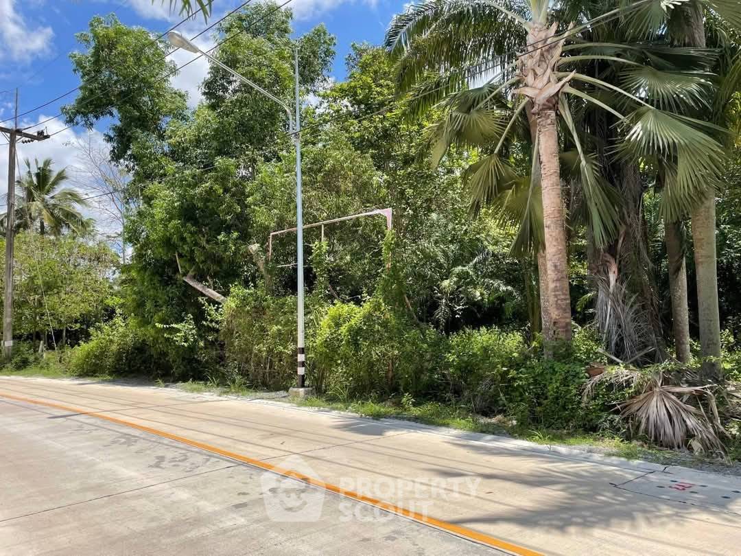 รูป ที่ดินสำหรับปล่อยขาย 31,580 ตารางเมตร แถว ใกล้ สวนนงนุช (ID 2066811) - รูปที่ 7/8