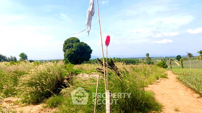 ที่ดิน ปราณบุรี ประจวบคีรีขันธ์ : ที่ดินสำหรับปล่อยขาย 1,600 ตารางเมตร แถว ใน วังก์พง (ID 1936990)