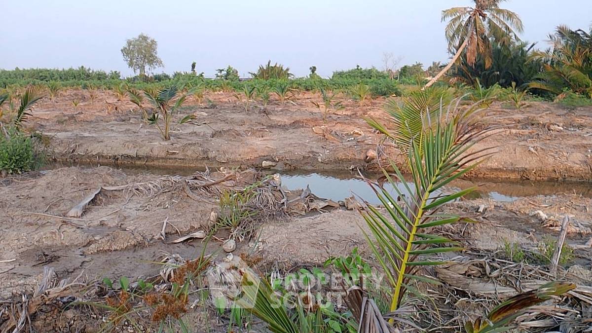 รูป ที่ดินสำหรับปล่อยขาย 96,000 ตารางเมตร แถว ใน หนองปลาไหล (ID 1922416) - รูปที่ 4/5