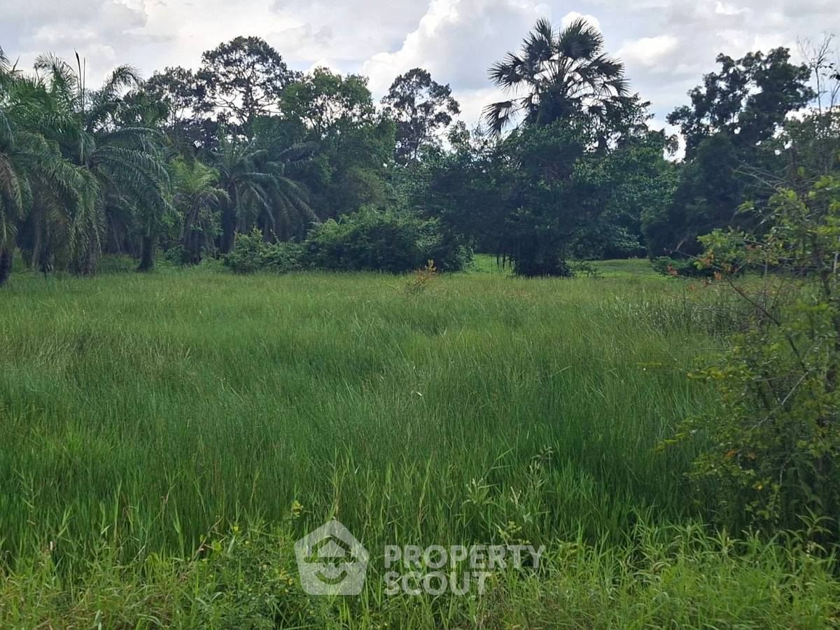 รูป ที่ดินสำหรับปล่อยขาย 7,520 ตารางเมตร แถว ใน พุนพิน (ID 2097972) - รูปที่ 3/5