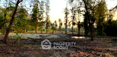 ที่ดิน ประจวบคีรีขันธ์ : ที่ดินสำหรับปล่อยขาย 21,357.6 ตารางเมตร แถว ใน สามร้อยยอด (ID 1288707)