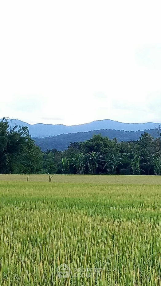 รูป ที่ดินสำหรับปล่อยขาย 8,048 ตารางเมตร แถว ใน สบเปิง (ID 1540121) - รูปที่ 4/8