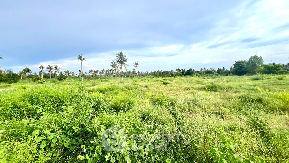 รูป ที่ดินสำหรับปล่อยขาย 8,812 ตารางเมตร แถว ใกล้ ห้วยใหญ่ (ID 1863176) - รูปที่ 6/13