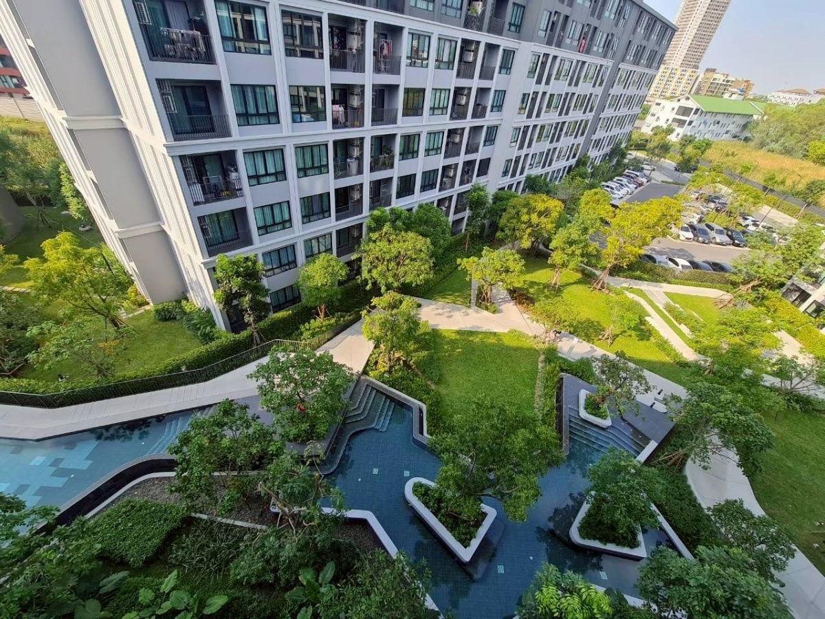 picture For Rent ðĐDcondo Campus hideaway rangsit Room type : 1 bed / 33.50 sq.m. rental 11,500 bath - 9/11