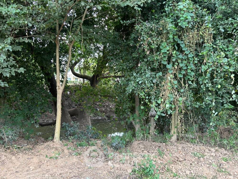 รูป ที่ดินสำหรับปล่อยขาย 6,560 ตารางเมตร แถว ใกล้ สนามบินเชียงใหม่ (ID 2035739) - รูปที่ 3/5