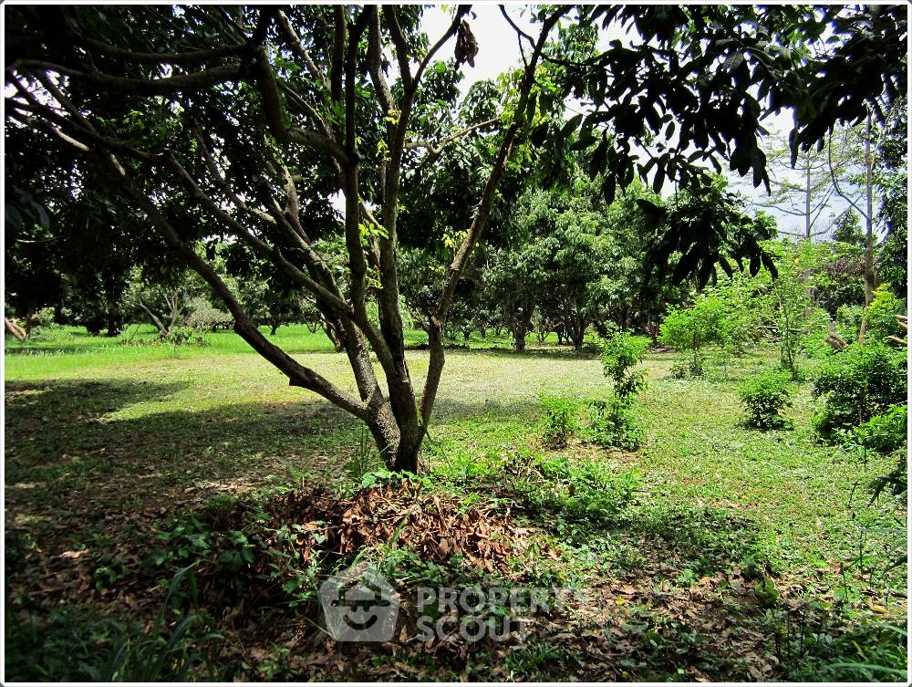 รูป ที่ดินสำหรับปล่อยขาย 23,848 ตารางเมตร แถว ใน ป่าตาล (ID 1568294) - รูปที่ 3/7