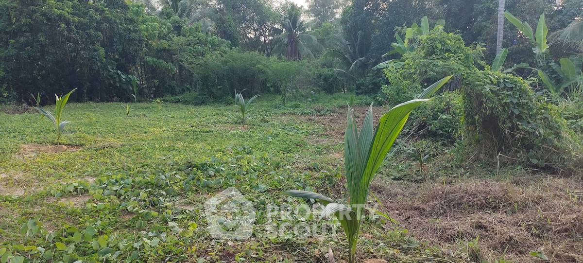 รูป ที่ดินสำหรับปล่อยขาย 2,216 ตารางเมตร แถว ใกล้ แหลม ยามู (ID 1834430) - รูปที่ 2/5