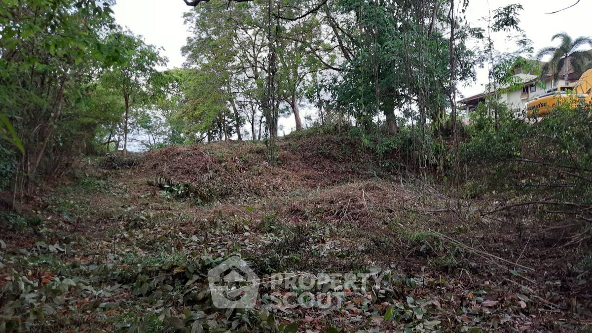 รูป ที่ดินสำหรับปล่อยขาย 2,811.6 ตารางเมตร แถว ใกล้ หาดในหาน (ID 2107889) - รูปที่ 3/6